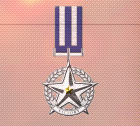 Ace x2 mp medal silver star of victory.png