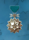 AC3D Medal 17 Bronze Ace.png