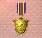 Ace x2 mp medal gold flight.png