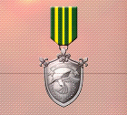 Ace x2 mp medal silver flight.png