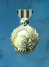 AC3D Medal 13 Pack Leader.png