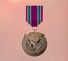 Ace x2 sp medal marksman.png