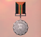 Ace x2 sp medal silver medal of exellence.png
