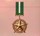 Ace x2 mp medal bronze star of victory.png