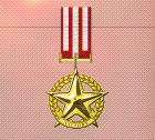 Ace x2 mp medal gold star of victory.png
