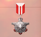 Ace x2 mp medal iron wings.png