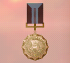 Ace x2 sp medal bronze medal of exellence.png
