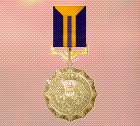Ace x2 sp medal gold medal of exellence.png