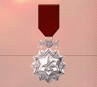 Ace x2 sp medal silver ace.png