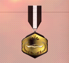 Ace x2 sp medal ghost hunter.png