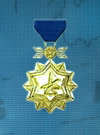 AC3D Medal 19 Gold Ace.png