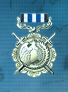 AC3D Medal 01 Bronze Star of Victory.png