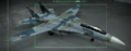机库内的OMDF色F-14D
