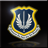 8th Air Division Infinity Emblem.png