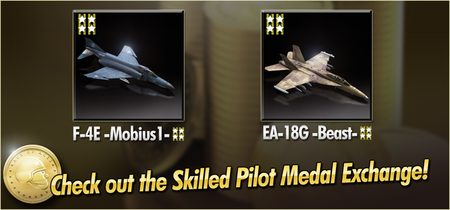 F-4E -Mobius1- and EA-18G -Beast- Skilled Pilot Medal Exchange Banner.png