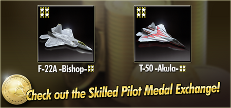 F-22A -Bishop- and T-50 -Akula- Skilled Pilot Medal Exchange Banner.png