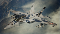 AC7 SPIDER Assault Record Skin.png