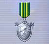 Ace x mp medal silver defender.png