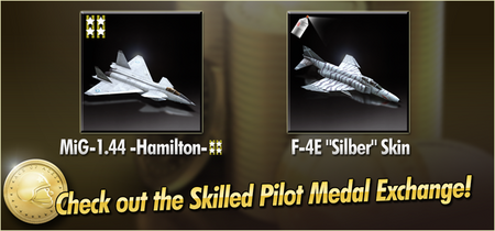 MiG-1.44 -Hamilton- and F-4E Silber Skin Skilled Pilot Medal Exchange Banner.png