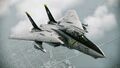 F-14D "Jolly Rogers" Flyby 5.jpg