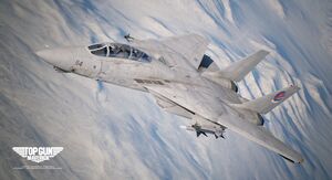 F-14A Maverick Flyby PA.jpeg
