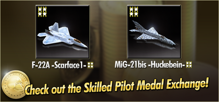 F-22A -Scarface1- and MiG-21bis -Huckebein- Skilled Pilot Medal Exchange Banner.png
