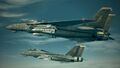 F-14D -WARDOG EMBLEM- DLC for Ace Combat 6