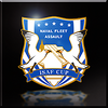 ISAF Cup Emblem Icon.png