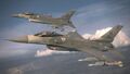 F-16C -PJ EMBLEM- 2.jpg