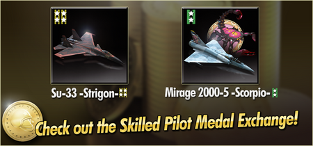 Su-33 -Strigon- and Mirage 2000-5 -Scorpio- Skilled Pilot Medal Exchange Banner.png