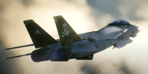 AC7 F-14D -Jolly Rogers-.png