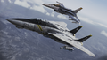 F-14D -Jolly Rogers- with an F-16F