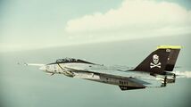 F-14D "Jolly Rogers" (Pack 6) Included in Aircraft Skin Pack 2