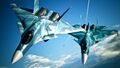 In formation with an Su-33 Flanker-D