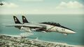 F-14D in color scheme of squadron VF-103 "Jolly Rogers"