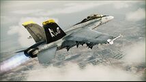 F/A-18F "Jolly Rogers" (Pack 6) Included in Aircraft Skin Pack 2