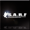 SARF Infinity Emblem.png