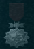 AC5 Silver Ace Medal.png