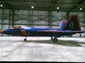 Customised F-22A Raptor