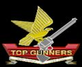 "Top Gunners" squadron logo, Expert mode