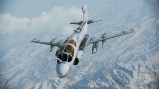 EA-6B Prowler Multirole