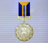 Ace x sp medal gold wing.png
