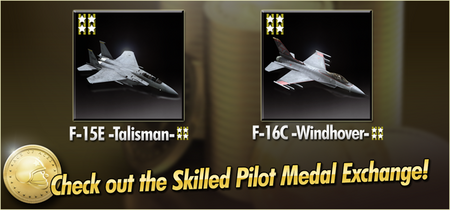 F-15E -Talisman- and F-16C -Windhover- Skilled Pilot Medal Exchange Banner.png