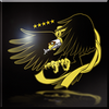 King of Aerial Combat - Infinity Emblem Icon.png