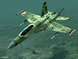 Grun Team FA-18C Hornet.jpg