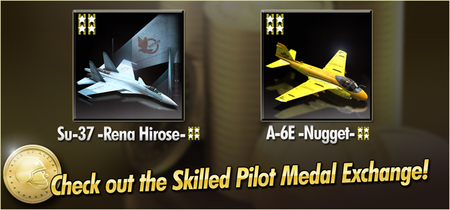 Su-37 -Rena Hirose- and A-6E -Nugget- Skilled Pilot Medal Exchange Banner.png