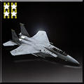 F-15E -Shamrock- Aircraft 100 Medals