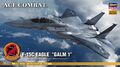1/72 F-15C Eagle "Ace Combat Galm 1" (June 2015)[14]