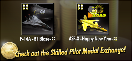 F-14A -R1 Blaze- and ASF-X -Happy New Year- Skilled Pilot Medal Exchange Banner.png