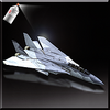 F-14B Event Skin 01-Icon.png
